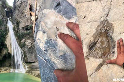 Sequía en Tamaulipas revela fósiles marinos en Sierra de Casas
