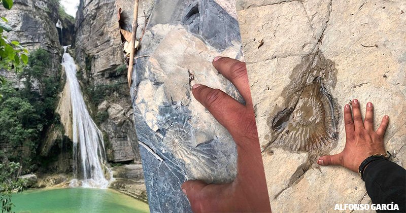 Sequía en Tamaulipas revela fósiles marinos en Sierra de Casas