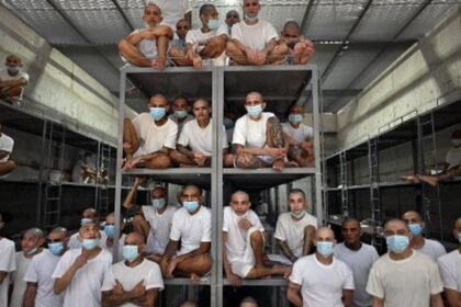 El Salvador juzga a 220 pandilleros de la MS-13 por torturas y homicidios
