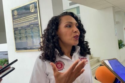 Diputada aclara propuesta de Colegio de Periodistas en Tamaulipas