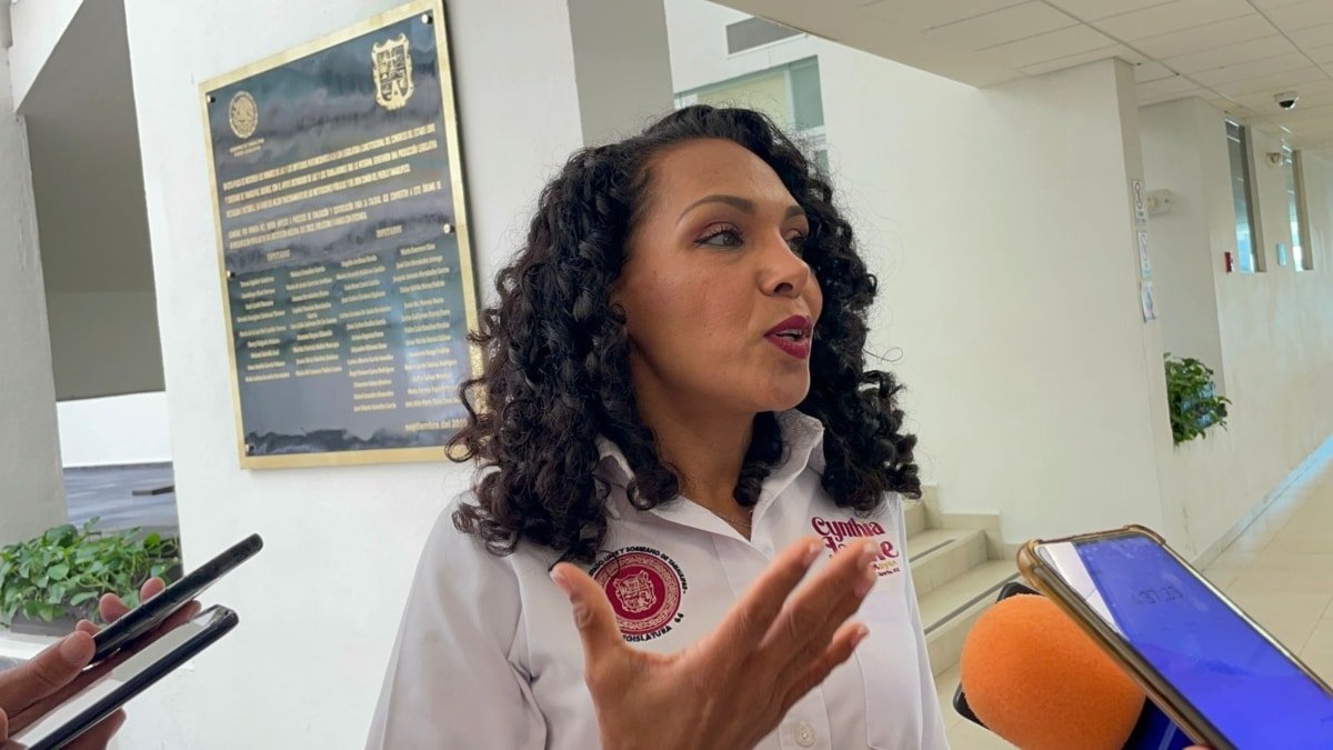 Diputada aclara propuesta de Colegio de Periodistas en Tamaulipas