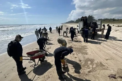 Morena exige investigar y sancionar derrame de crudo en Veracruz