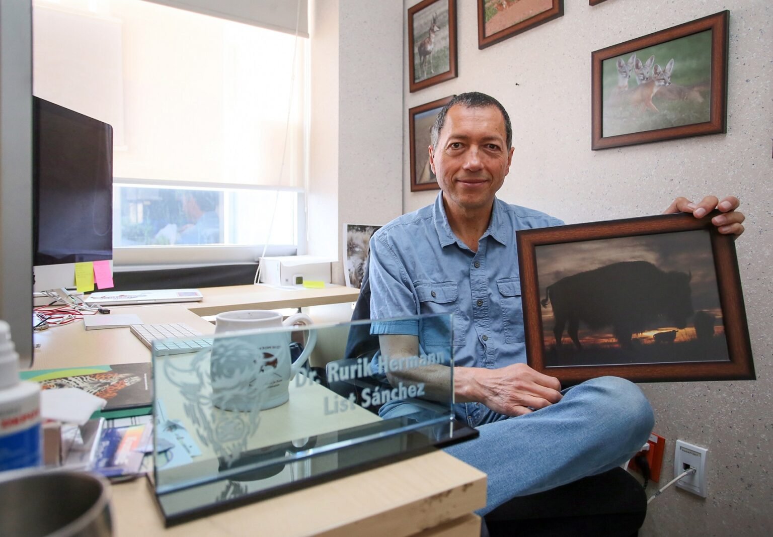 La UAM impulsa la restauración del bisonte en Sonora
