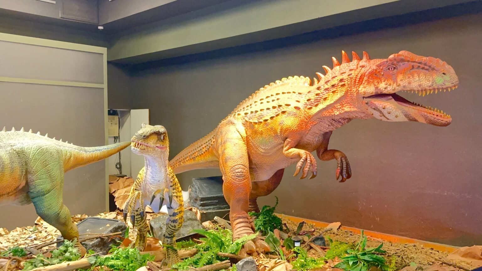 Dinosaurios de Coahuila tendrán exhibición gigante en el AIFA