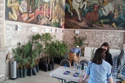 Chihuahua entrega árboles y semillas para reforestación rural