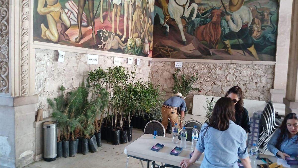 Chihuahua entrega árboles y semillas para reforestación rural