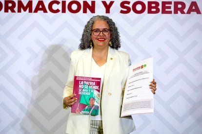 Graciela Domínguez nombrada gobernadora interina de Sinaloa
