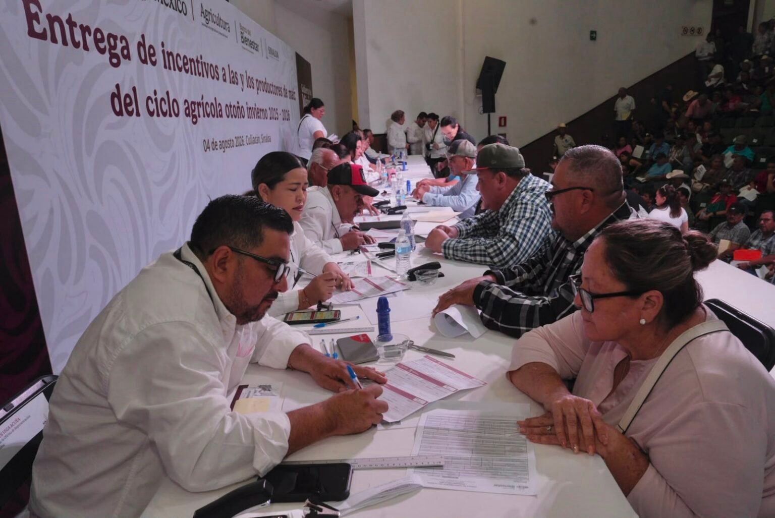 Gobiernos de México y Sinaloa entregan apoyos a maiceros