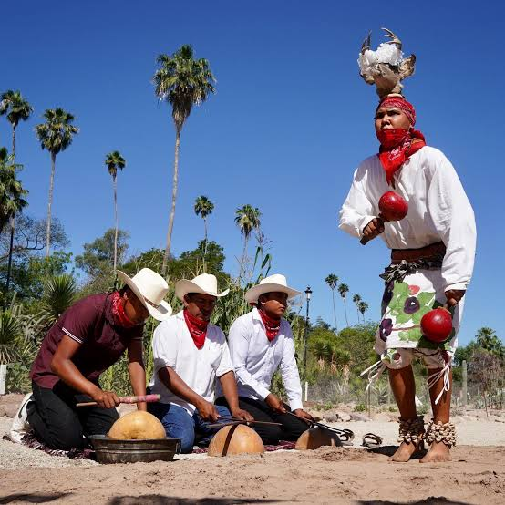 Disminuye población hablante de lenguas indígenas en Sonora: INEGI