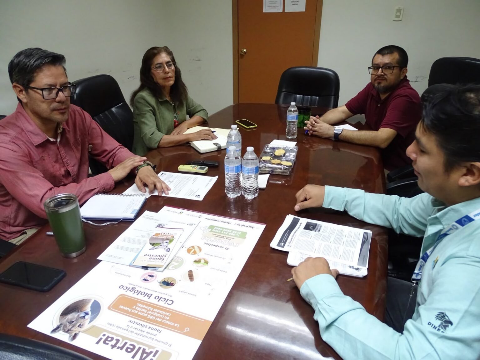 Chihuahua refuerza vigilancia contra gusano barrenador en fauna