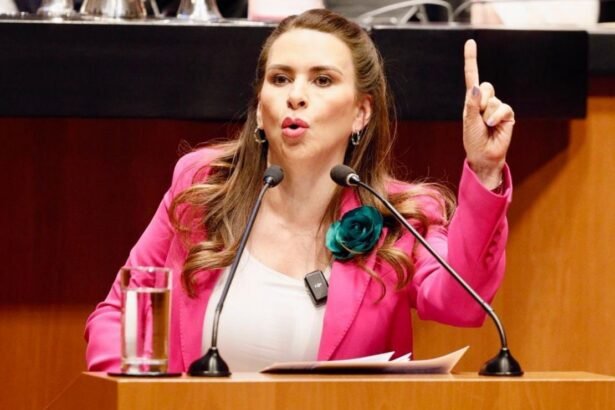 PRI llama a alianza opositora; MC insiste en ir solo en 2027