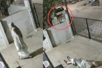 Muere mujer de 91 años tras ataque de mono en Karnataka, India