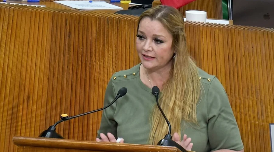 Diputada denuncia acoso tras exigir transparencia en transporte NL